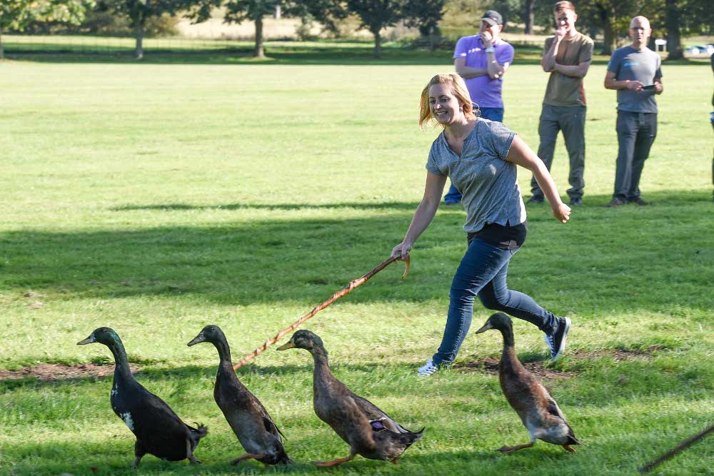 country-sports-duck-herding