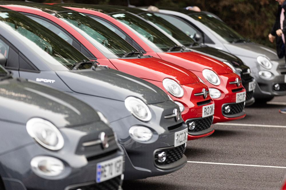 parmesan-job-line-of-fiats