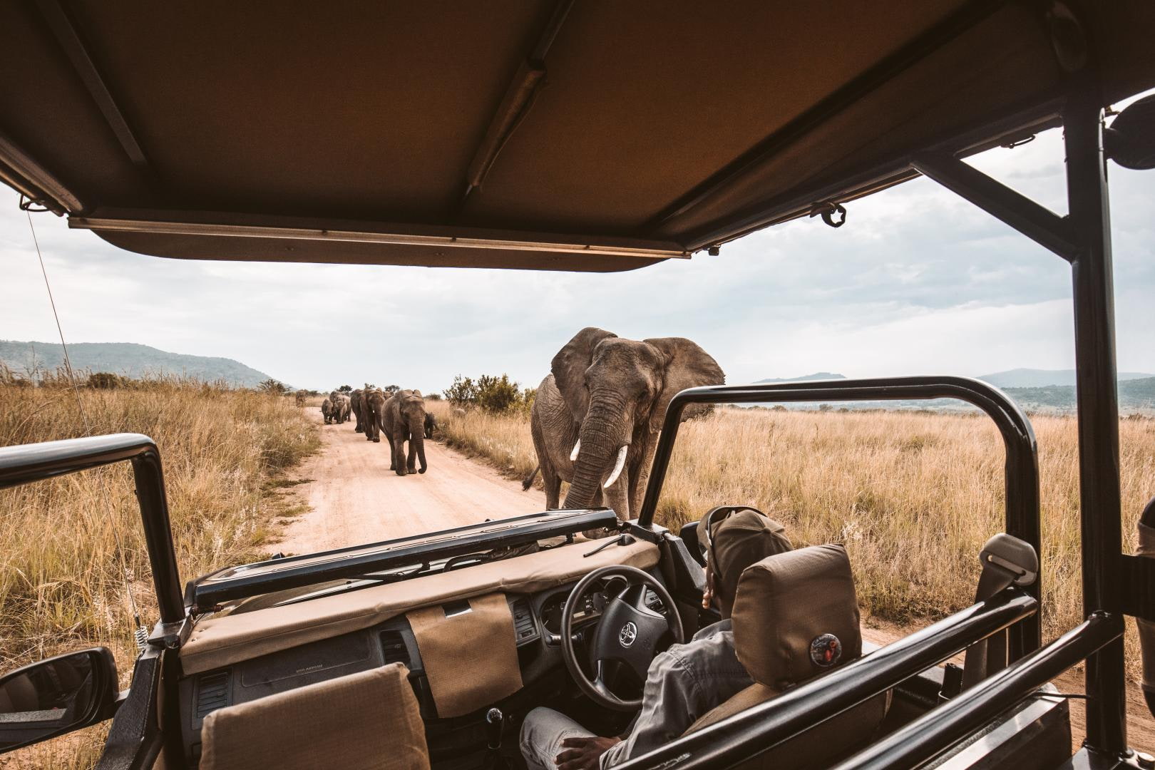 virtual-round-the-world-quiz-safari